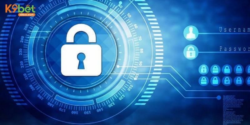 3 nội dung chính trong chính sách bảo mật