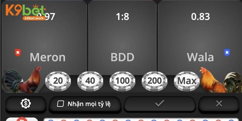 4 chiến thuật đặt cược đá gà bất bại từ cao thủ lâu năm