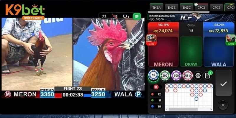 Khám phá những khuyến mãi cơ bản xuất hiện tạo đá gà 88