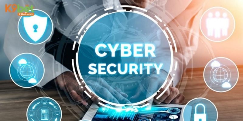 Sự khác biệt này thể hiện một sự đầu tư to lớn của chúng tôi