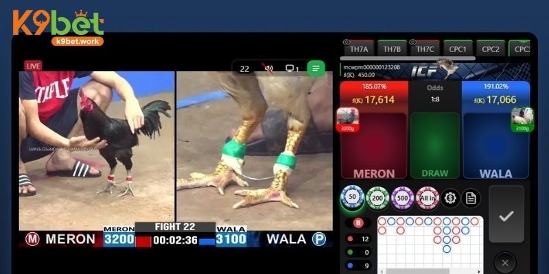 Thắng thua được phân định rõ ràng theo quy định ban tổ chức